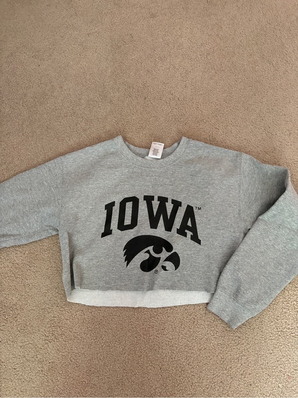 Iowa Cropped Crewneck Sweatshirt - Gray